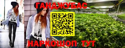 крисы Лесосибирск