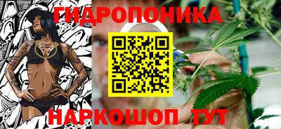 крисы Лесосибирск