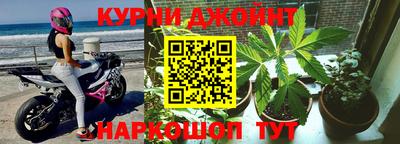 крисы Лесосибирск