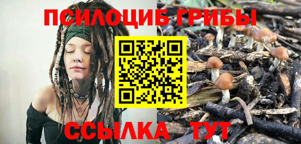 Псилоцибиновые грибы Psilocybine cubensis Егорьевск