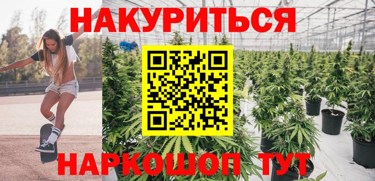 Канабис план  Шишки марихуана White Widow  Вход с VPN  Шишки марихуана THC 21%  Егорьевск  Шишки марихуана семена 